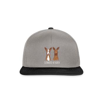 Podenco Canario Ibicenco galgos Humour Canario - Casquette snapback - gris graphite/noir - Devant