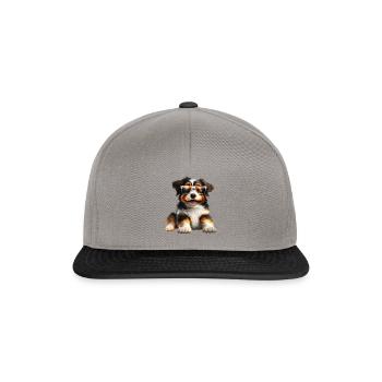 Sunchill Puppy #4 - Snapback Cap - graphite/black - Front