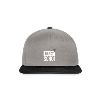 Basst Scho | Trachten Hirsch - Snapback Cap - Graphit/Schwarz - Vorne