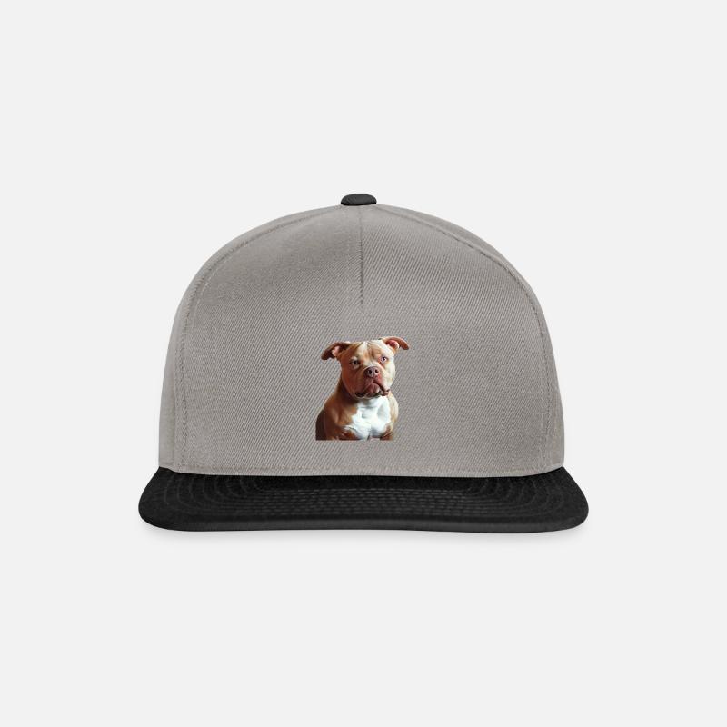 Exotic bully American Bully - Casquette snapback - gris graphite/noir