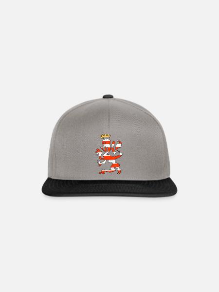 Hessen Löwe - Snapback Cap - Graphit/Schwarz