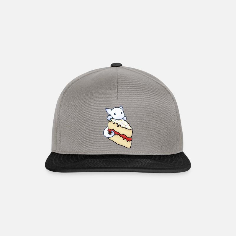 Biskuit - Snapback Cap - Graphit/Schwarz