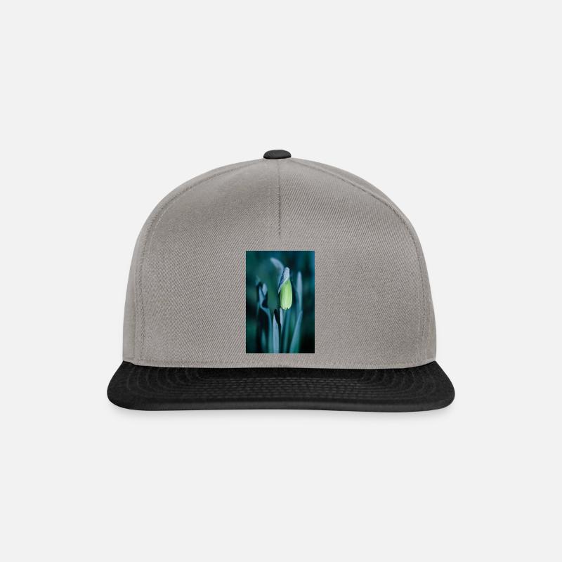 Daffodil - Snapback Cap - graphite/black