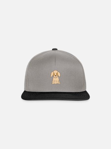 Puppy - Snapback Cap - Graphit/Schwarz