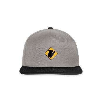 Koala - Casquette snapback - gris graphite/noir - Devant