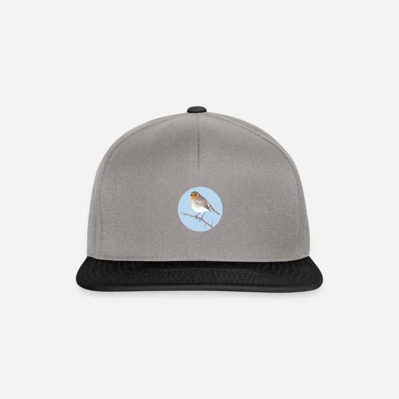 Robin - Snapback Cap - graphite/black