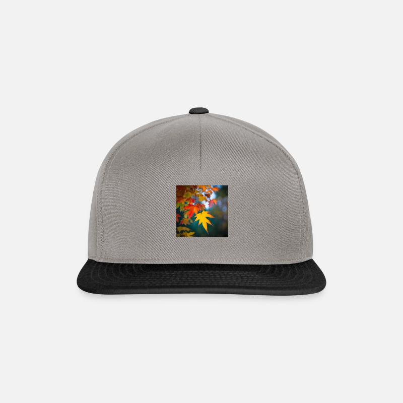 colourful leafes in autumn - Snapback Cap - Graphit/Schwarz
