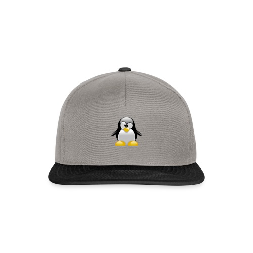 Penguin logo - Snapback cap