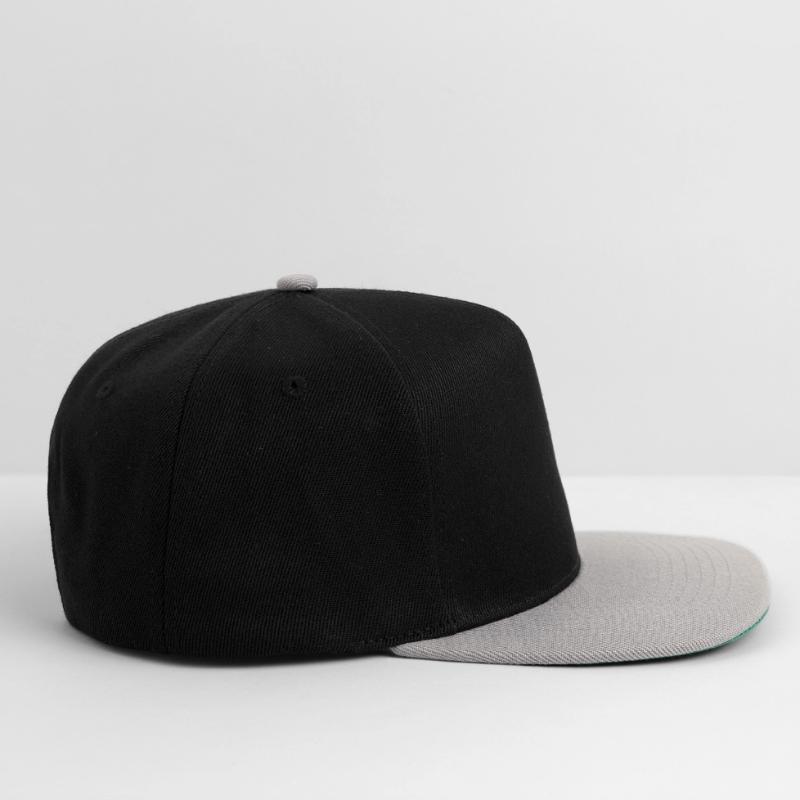 Introvert computer scientist programmer gift Snapback Cap