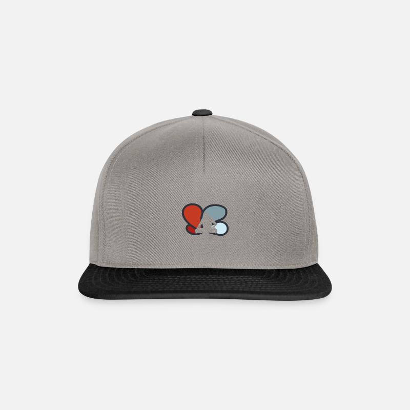 DJ Electro - Snapback Cap - Graphit/Schwarz