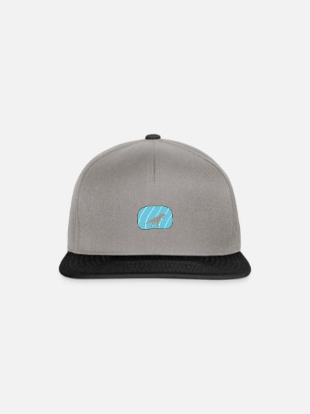 Dinosaurier Urzeit Museum - Snapback Cap - Graphit/Schwarz