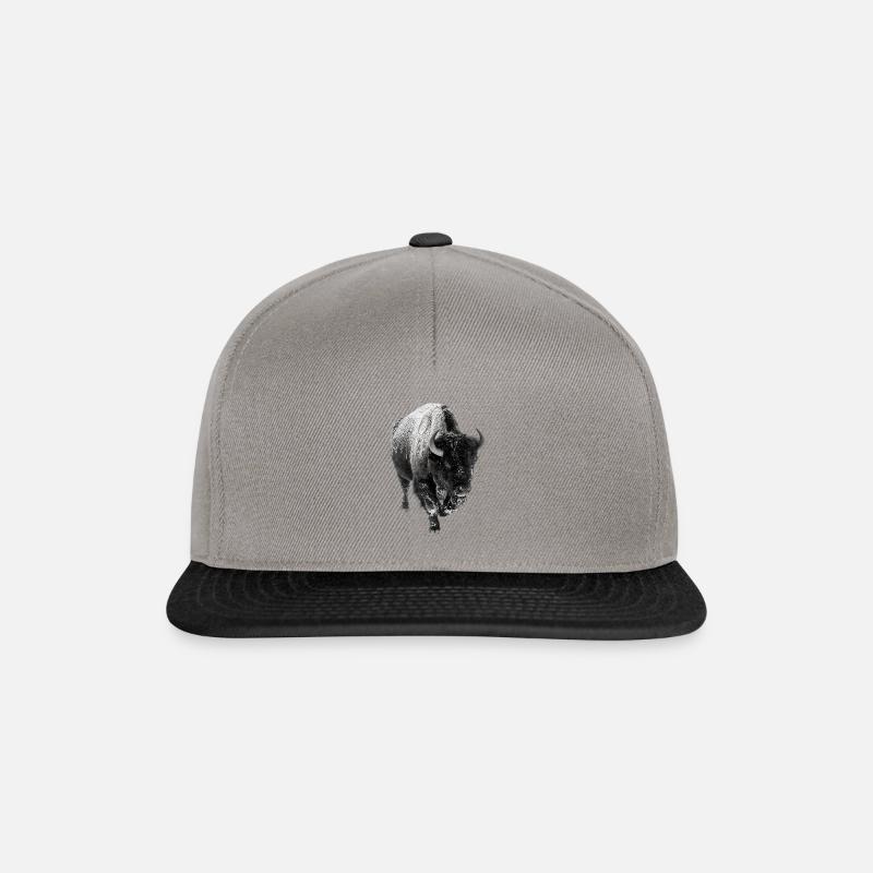 Bison - Casquette snapback - gris graphite/noir