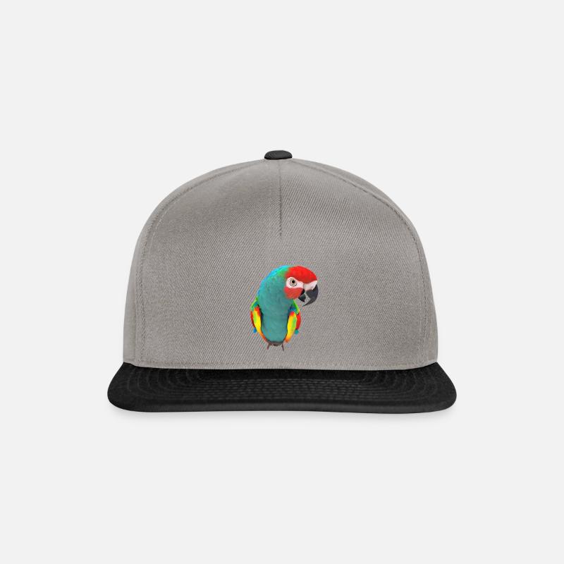 parroti looking - Snapback Cap - Graphit/Schwarz