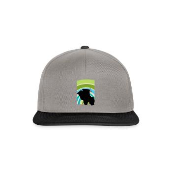 Farmer Farmer - Snapback Cap - graphite/black - Front