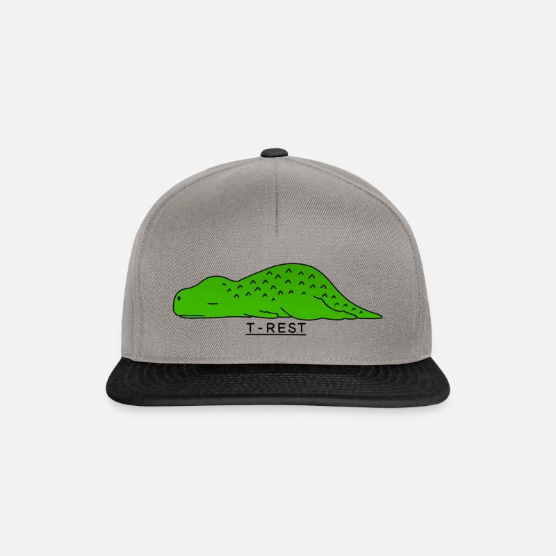 T-Rest - Snapback Cap - Graphit/Schwarz