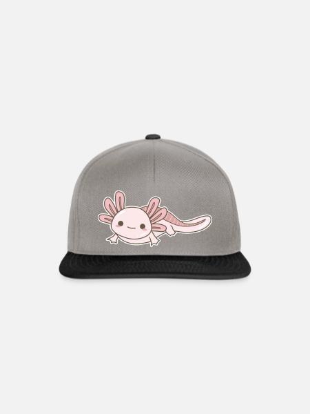 Axolotl - Snapback Cap - Graphit/Schwarz