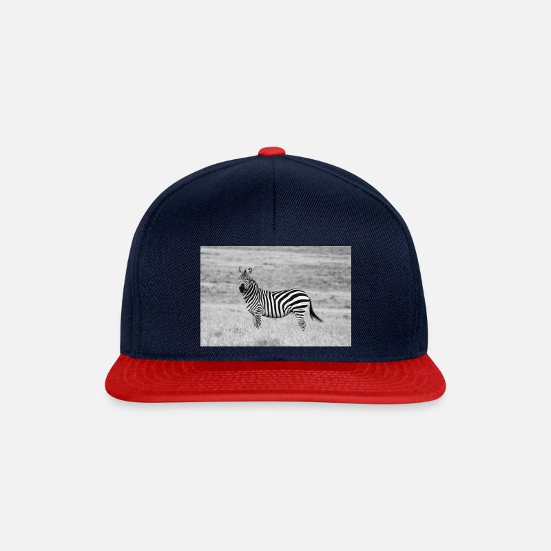 Zebra - Snapback Cap - navy/red