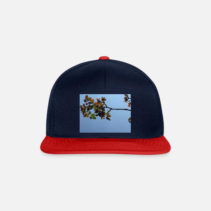 6B1D34B7 6E00 4BE6 A819 BC745565B58C - Snapback Cap - Navy/Rot