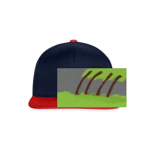 Storm in the Wind - Snapback cap