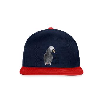 Gabon grey - Snapback Cap - navy/red - Front