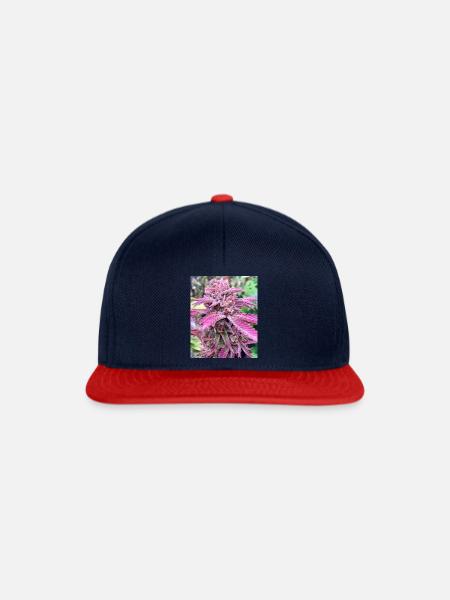 PINK BUD - Snapback Cap - Navy/Rot