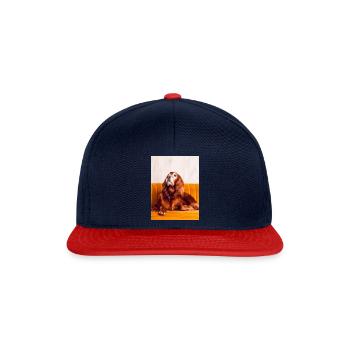 Irish Setter - Snapback Cap - Navy/Rot - Vorne