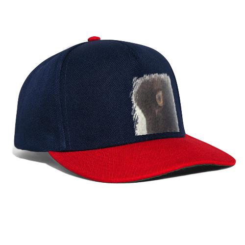 chat - Casquette snapback
