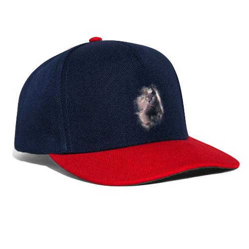 Chartreux peinture watercolor -by- Wyll-Fryd - Casquette snapback