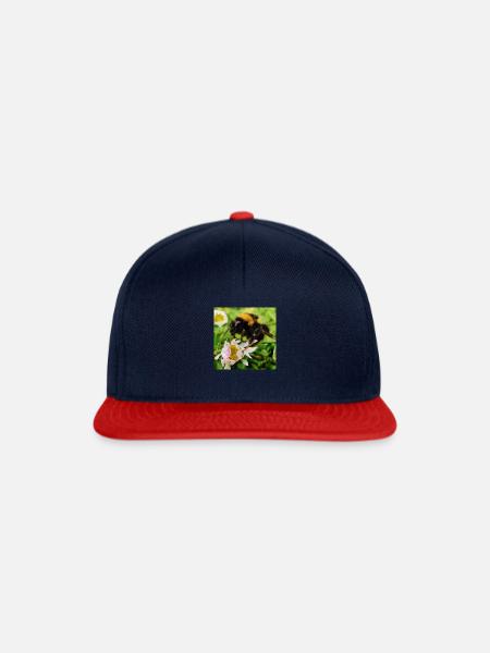 Bee - Snapback Cap - Navy/Rot