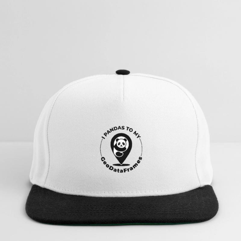 GeoDataFrames Pandas GIS Python Programmierung Snapback Cap