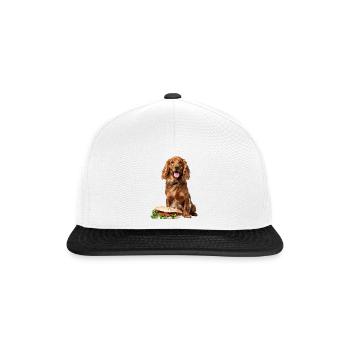 Irish Setter - Snapback Cap - Weiß/Schwarz - Vorne