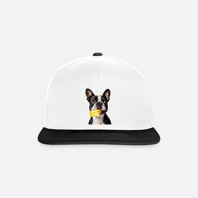 Boston Terrier - Snapback Cap - Weiß/Schwarz