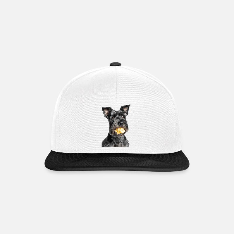 Zwergschnauzer - Snapback Cap - Weiß/Schwarz