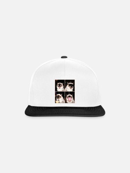 Katzen Himalaya Katze - Snapback Cap - Weiß/Schwarz