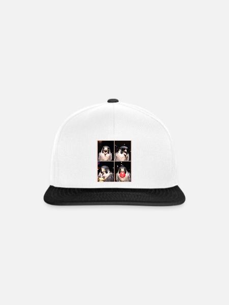 Falken Falke - Snapback Cap - Weiß/Schwarz