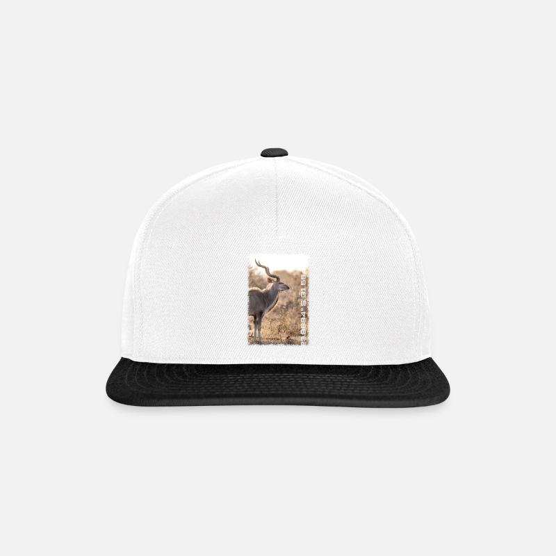 Kruger Series: Swirl - Snapback Cap - Weiß/Schwarz