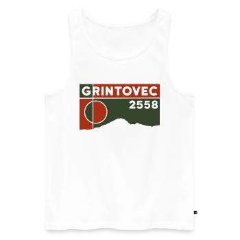 Grintovec Besteigen Wandern Kranjska Gora Andenken - Männer Premium Bio Tank Top - Weiß - Vorne - AI Model Male 178 light (178cm)