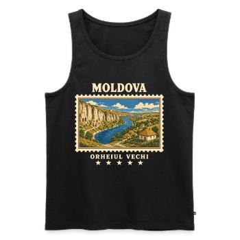 Moldau Orheiul Vechi Vintage Reisemarke - Männer Premium Bio Tank Top - Schwarz - Vorne - Michal (187cm)