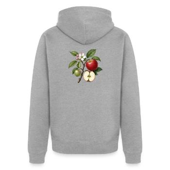 Apfelbaum (Malus domestica) – Botanische Illustration - Unisex Premium Bio Zip Hoodie - Grau meliert - Hinten - Nico (187cm)