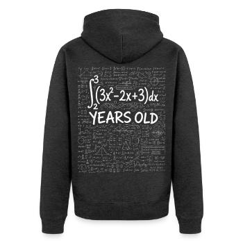 17th Birthday Calculus Math Geek Funny - Unisex Premium Organic Zip Hoodie - heather anthracite - Back - Nico (187cm)
