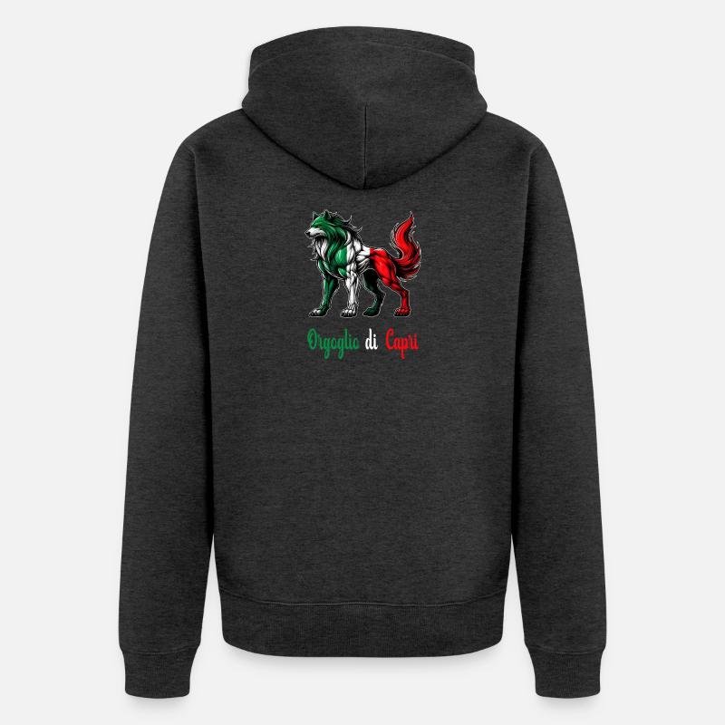 Le drapeau italien de la fierté de Capri - Veste à capuche bio Premium Unisexe - anthracite chiné