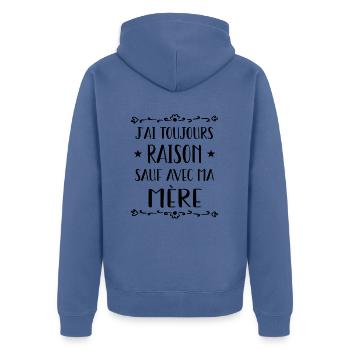 je t aime ou un truc dans le genre - Veste à capuche bio Premium Unisexe - bleu pigeon - Dos - Nico (187cm)