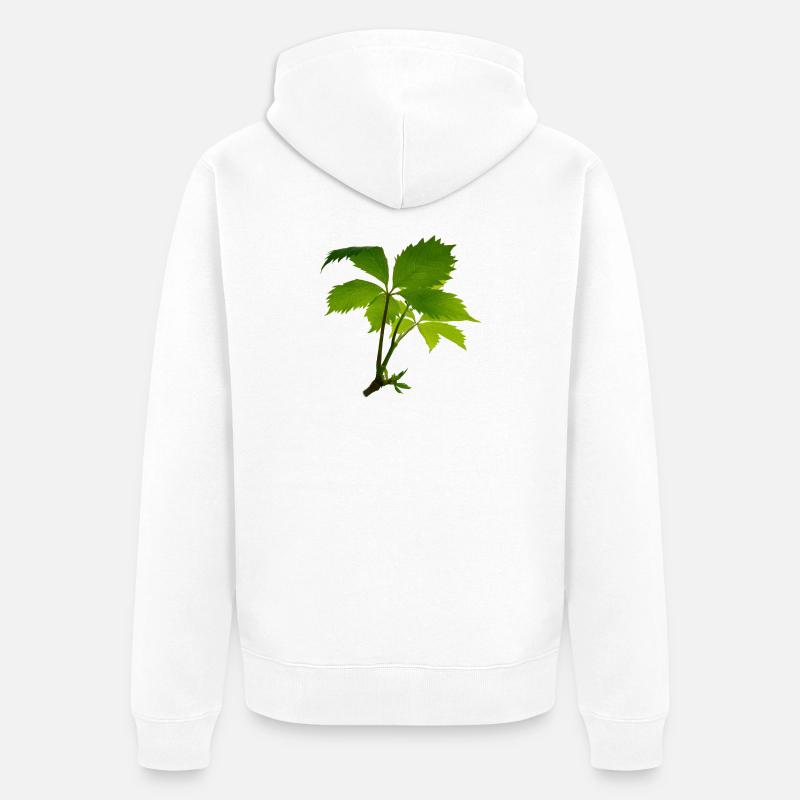 Jeune feuillage – branche verte de feuilles - Veste à capuche bio Premium Unisexe - blanc