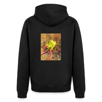 cornouillers Cornus Hornstrauch - Veste à capuche bio Premium Unisexe - noir - Dos - Nico (187cm)