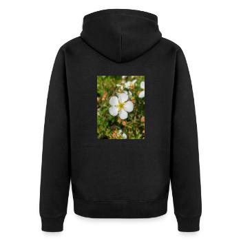 rock cinquefoil Felsen-Fingerkraut Potentilla - Unisex Premium Organic Zip Hoodie - black - Back - Nico (187cm)