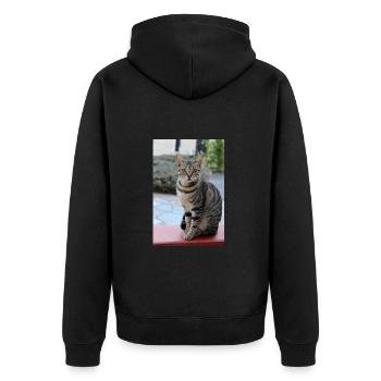 chat, chaton - Veste à capuche bio Premium Unisexe - noir - Dos - Nico (187cm)