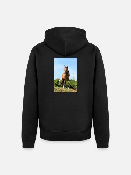 Affiche Cheval Cheval - Veste à capuche bio Premium Unisexe - noir