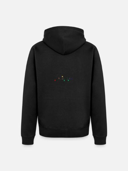 Proudly queer - Veste à capuche bio Premium Unisexe - noir