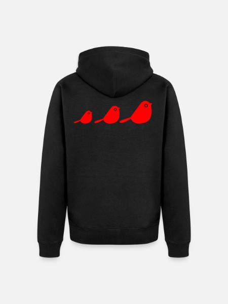 Des oiseaux - Veste à capuche bio Premium Unisexe - noir