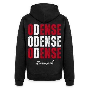 Odense in the Heart, Danemark aujourd’hui - Veste à capuche bio Premium Unisexe - noir - Dos - Nico (187cm)